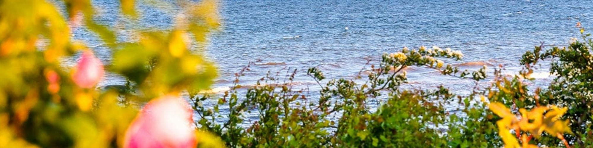 Ostsee-Campingplatz Kagelbusch