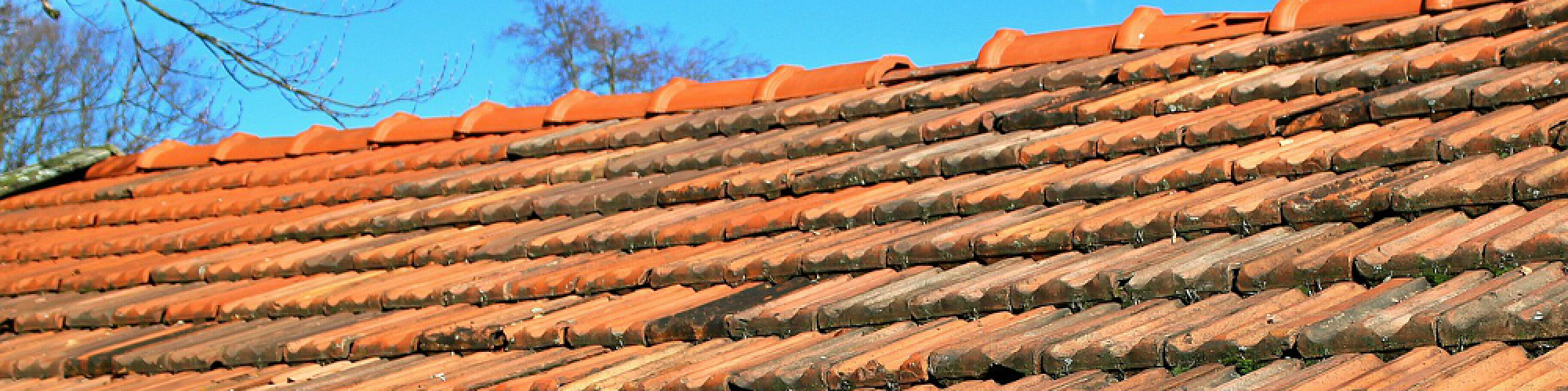 Michael Knoppan Dachdeckermeister