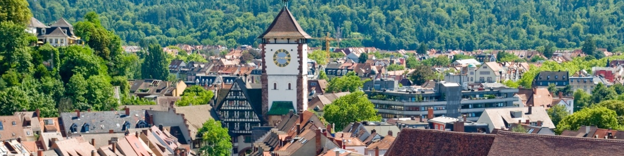 Seidler Immobilien e.K. | Immobilienmakler Freiburg